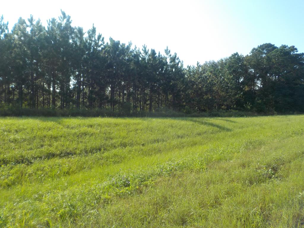 18/ Cty Road Headland, AL 36345 - Photo 1 of 22