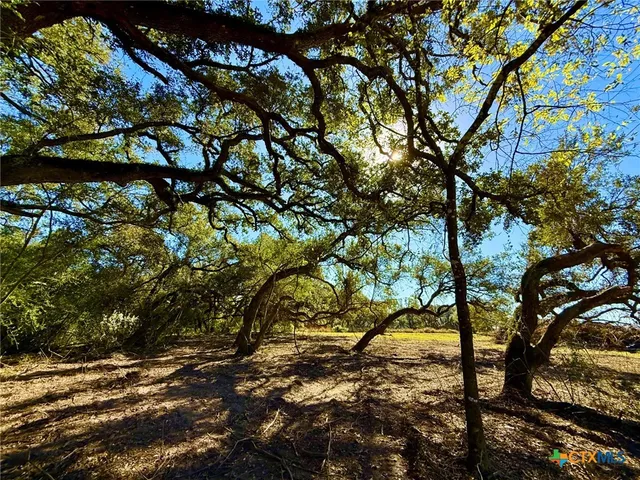 $155,200 | 0 Sydnie Rnch Road, Inez, TX 77968