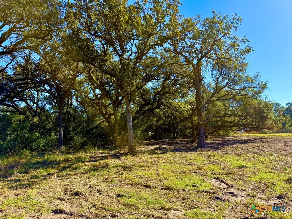 0 Sydnie Rnch Road Inez, TX 77968 - Photo 6 of 10