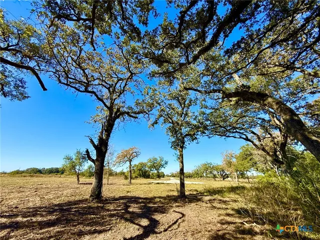 $155,200 | 0 Sydnie Rnch Road, Inez, TX 77968
