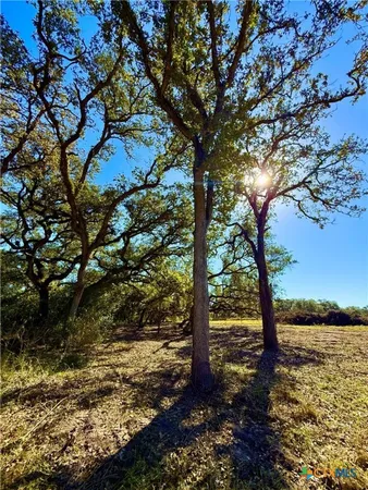 $155,200 | 0 Sydnie Rnch Road, Inez, TX 77968