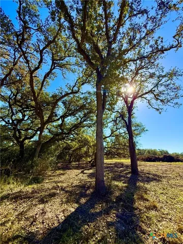 $155,200 | 0 Sydnie Rnch Road, Inez, TX 77968