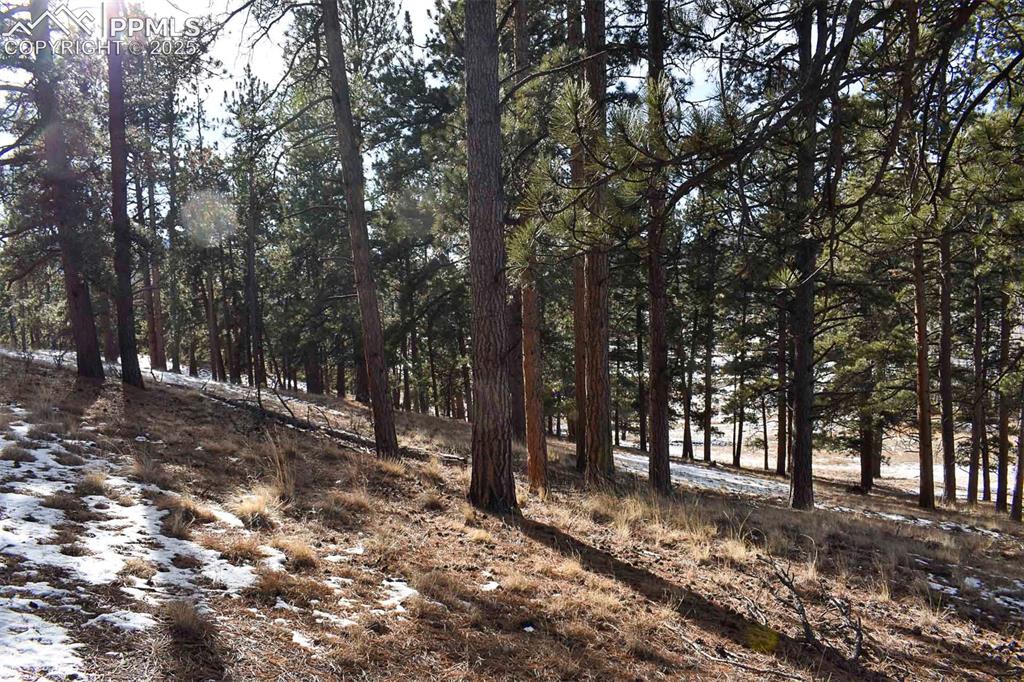 6th Street Guffey, CO 80820 - Photo 16 of 28