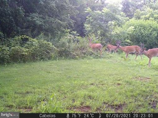 7667 Creager Road Waynesboro, PA 17268 - Photo 40 of 53 Gallery Image 40
