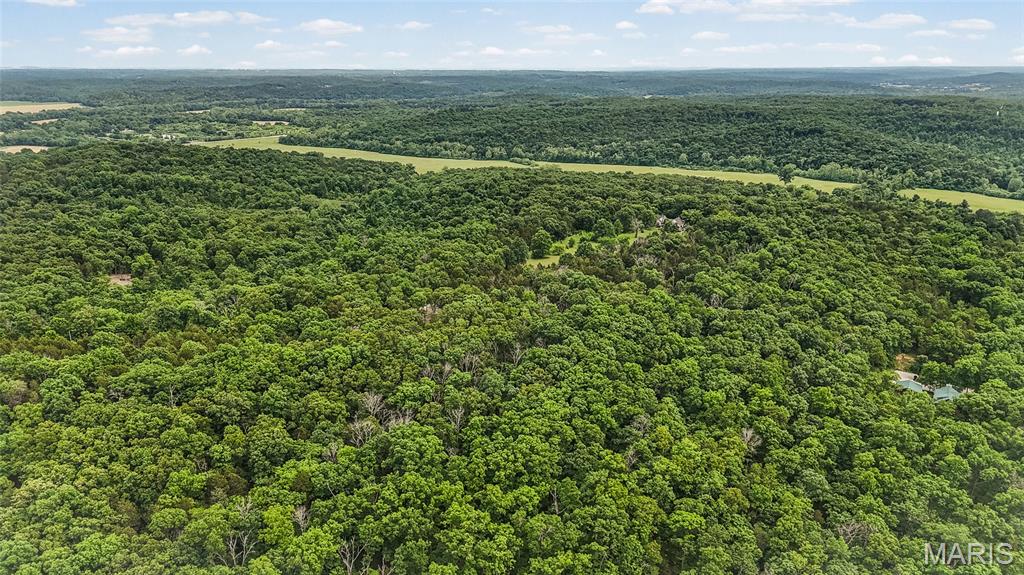 299 Whitetail Ridge Dittmer, MO 63023 - Photo 5 of 19