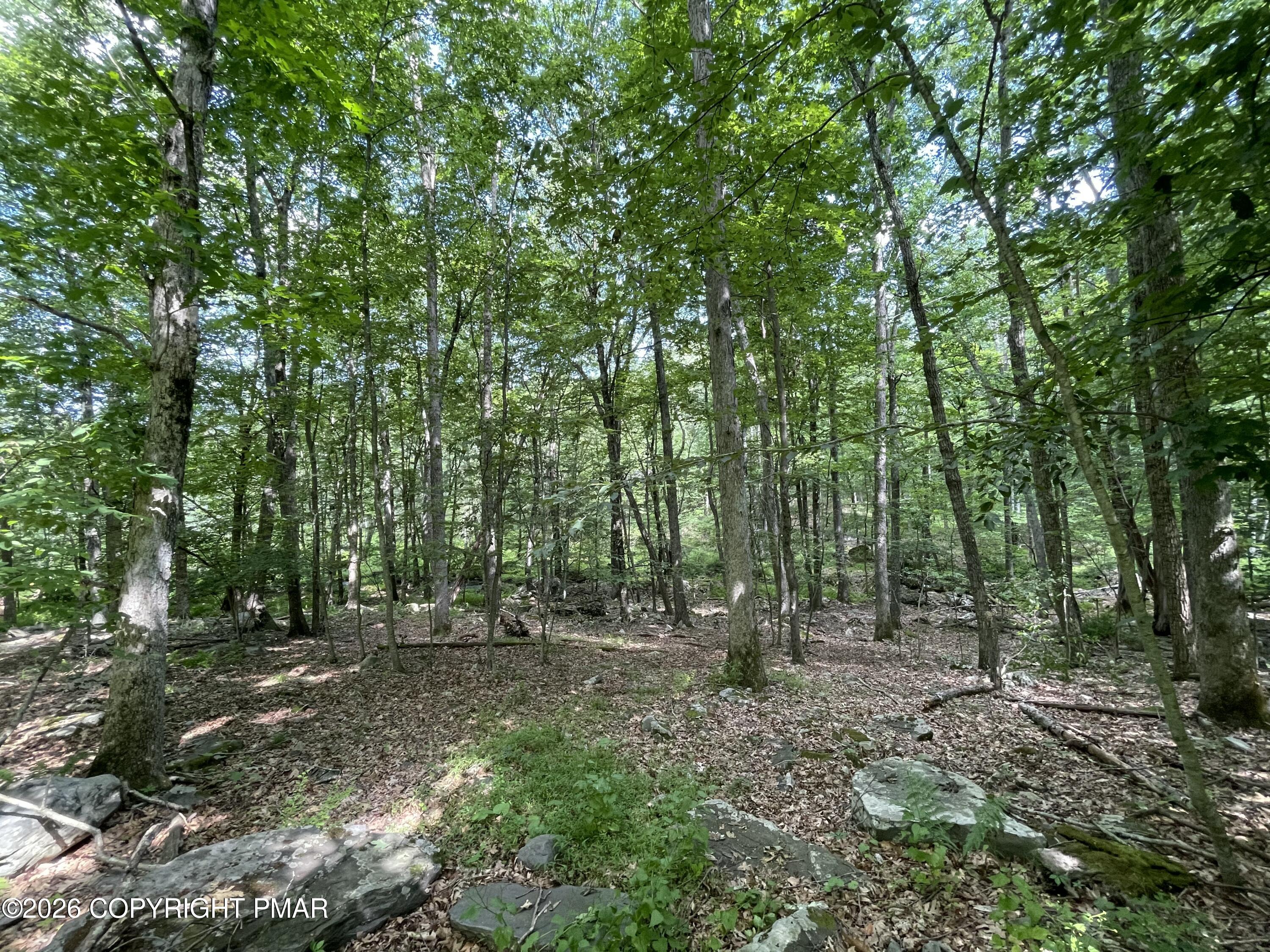 240 Mud Run Road Cresco, PA 18326 - Photo 4 of 7 Woods