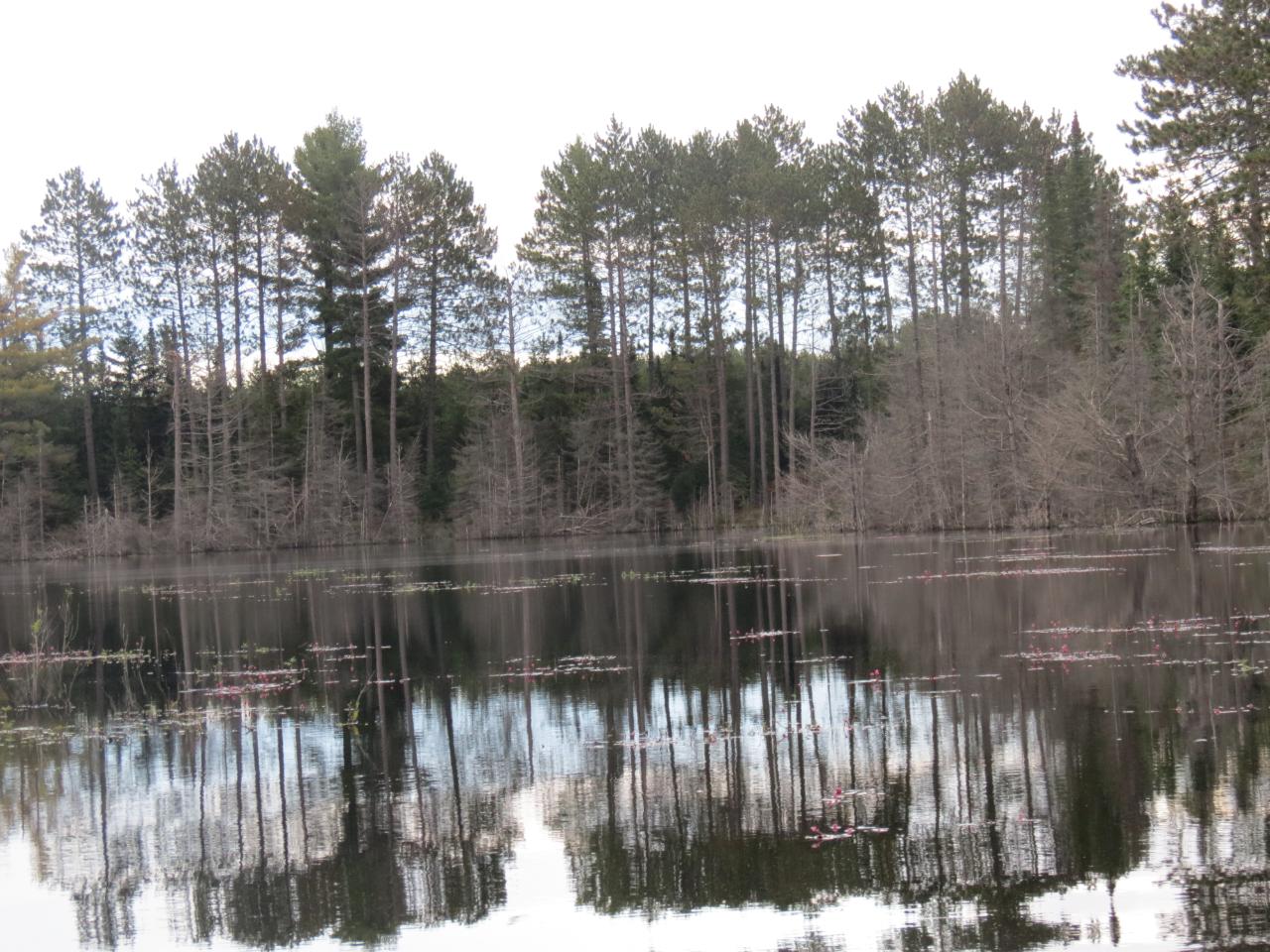 Off Rueckert Road Rhinelander, WI 54501 - Photo 1 of 8 Gallery Image 1