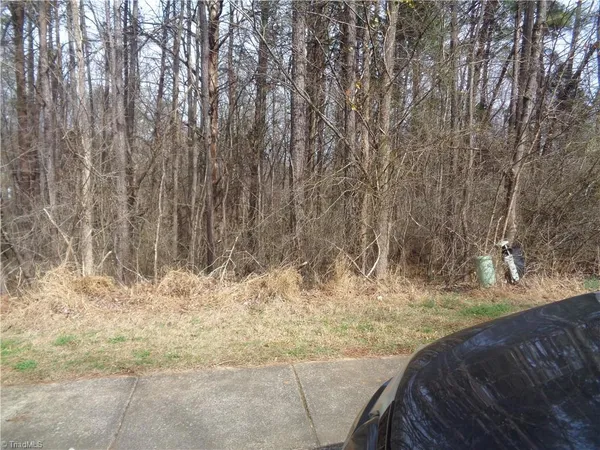 $45,000 | Lot 93 Haynoke Drive, Graham, NC 27253