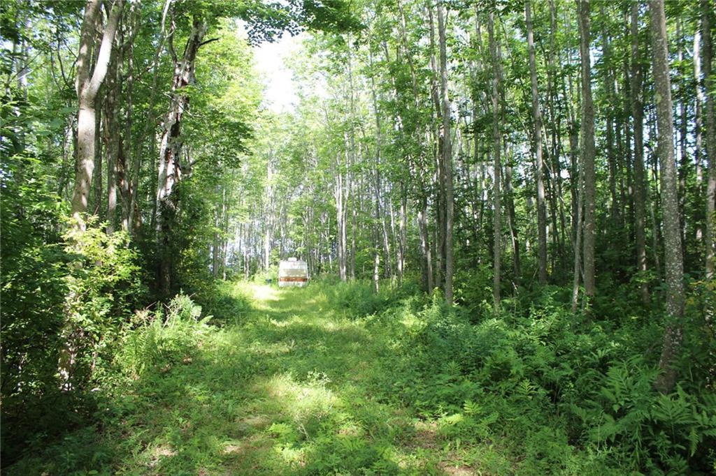 0 Castine Road, Unit M9L75 Penobscot, ME 04476 - Photo 5 of 8 Road to water from Castine Road.
