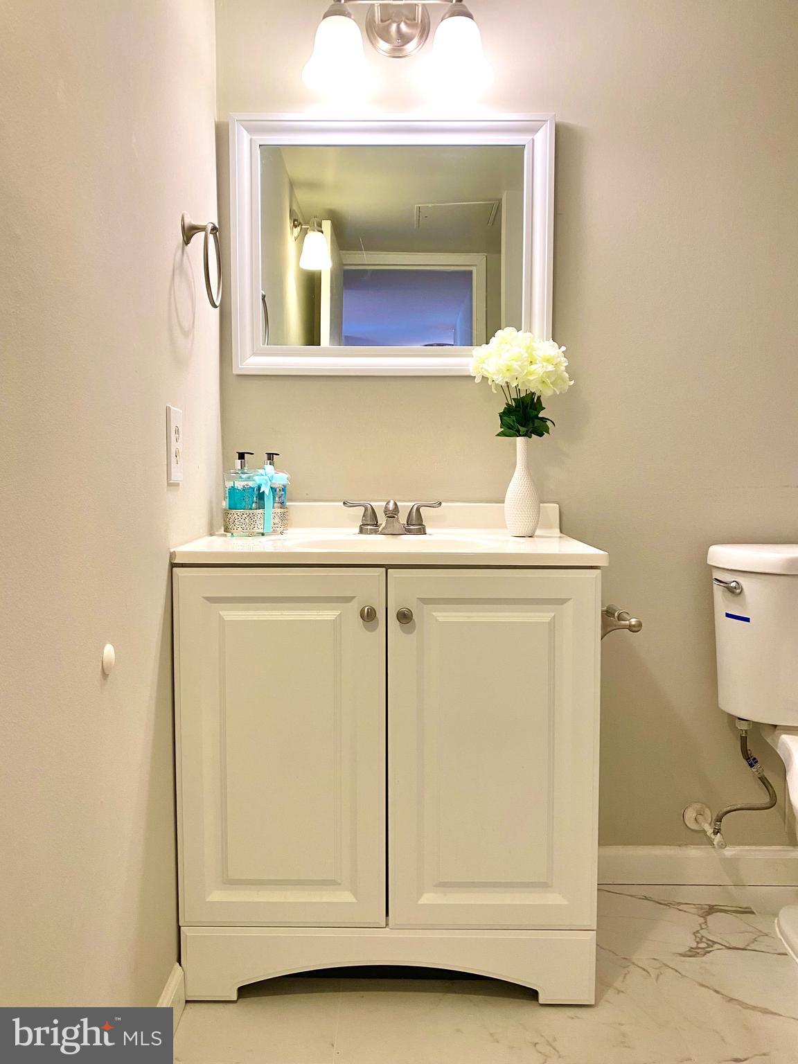 17817 Buehler Road, Unit 96 Olney, MD 20832 - Photo 20 of 38 a bathroom with a sink a toilet and mirror