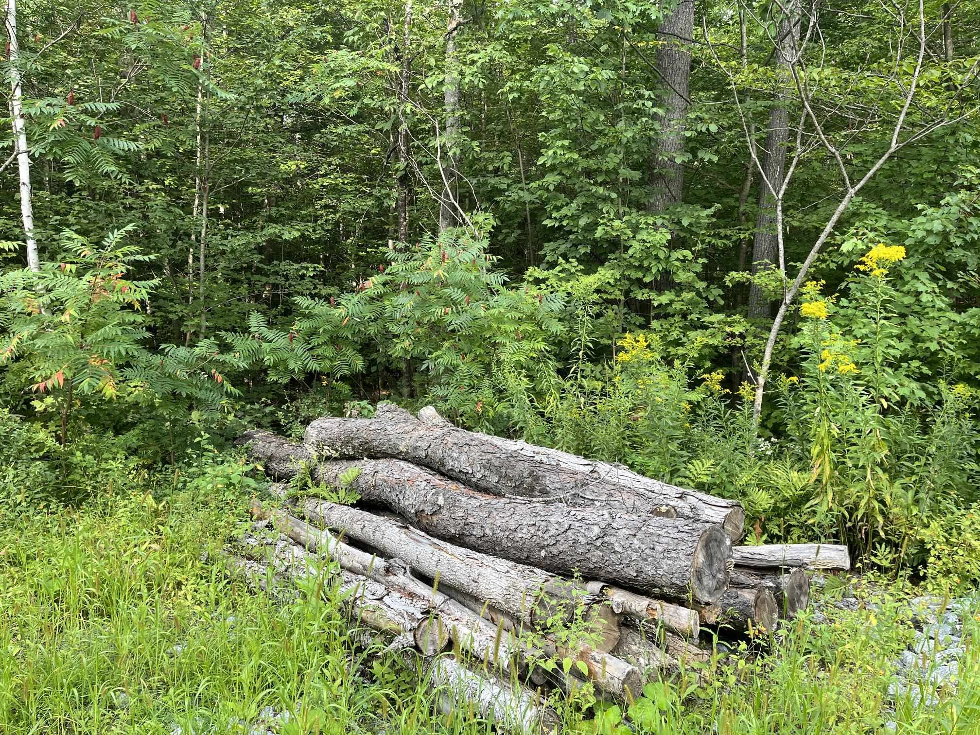 0 Pratt Bridge Road Chester, VT 05143 - Photo 11 of 16 Gallery Image 11