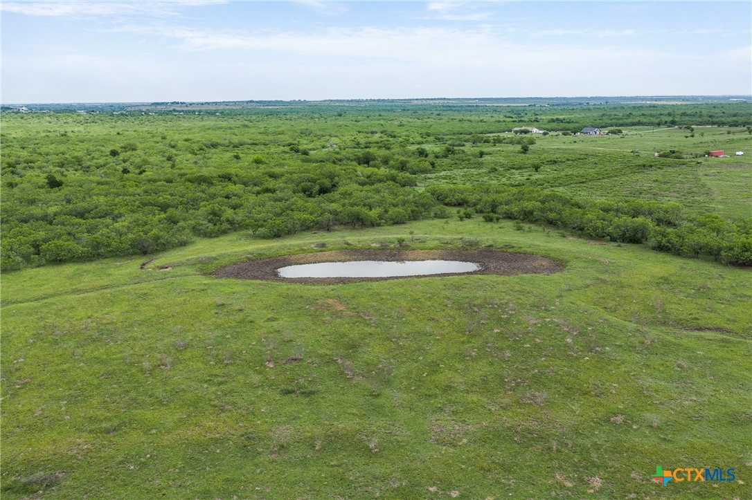 1190 Dickerson Road Lockhart, TX 78644 - Photo 23 of 40