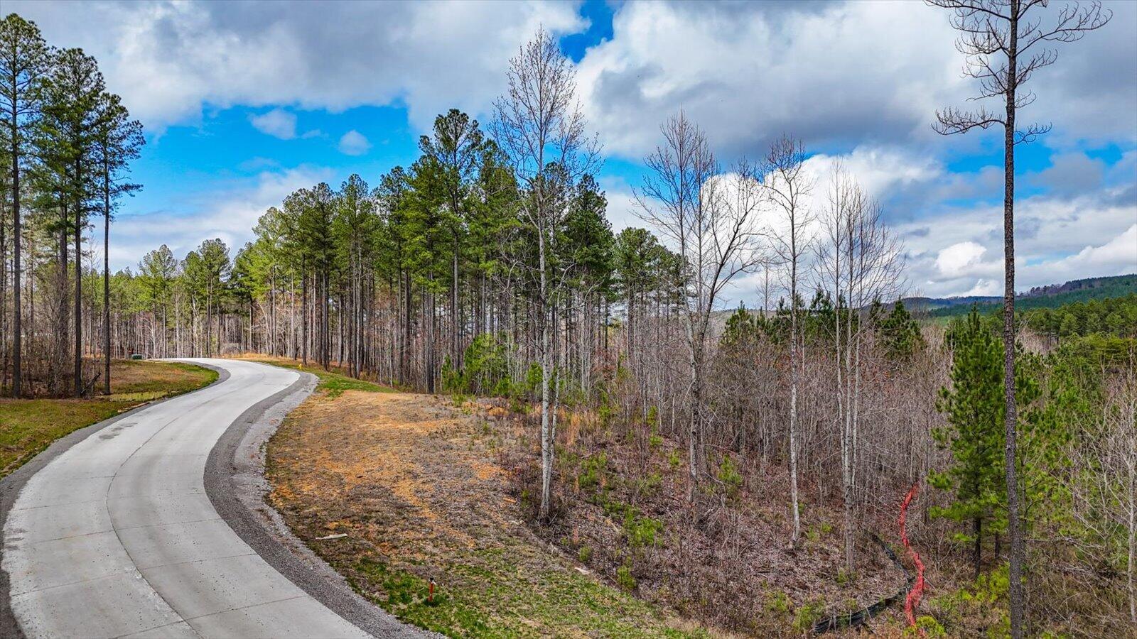 0 Birds Eye Way, Unit LOT 1065 Guild, TN 37340 - Photo 8 of 29 01-Birds Eye Way #1065-1