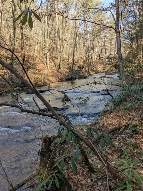 0 Dell Moore Road Marble Hill, GA 30148 - Photo 10 of 18