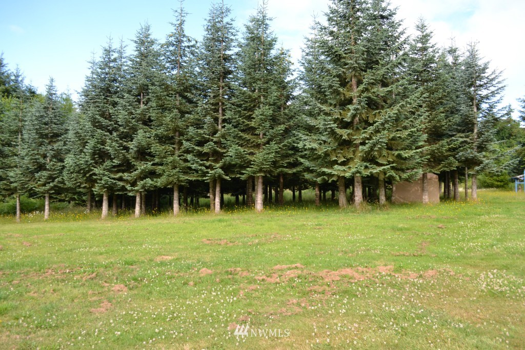 21940 Summers Road, Unit 376A Centralia, WA 98531 - Photo 4 of 21 Gallery Image 4