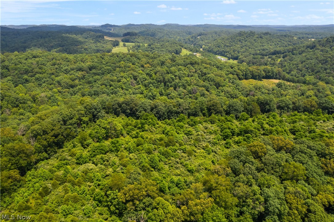 2799 Little Creek Road Le Roy, WV 25252 - Photo 13 of 48