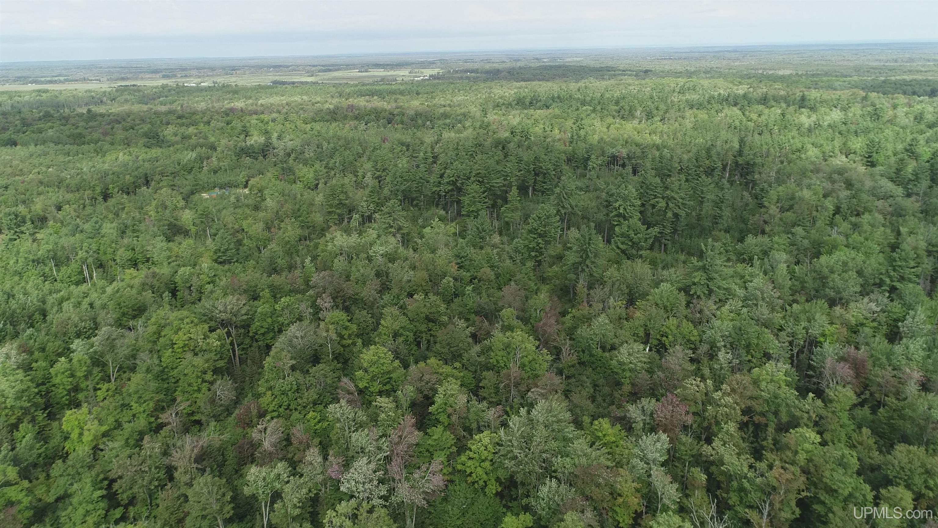 23 East 23 Mile Road Pickford, MI 49774 - Photo 37 of 58 Gallery Image 37