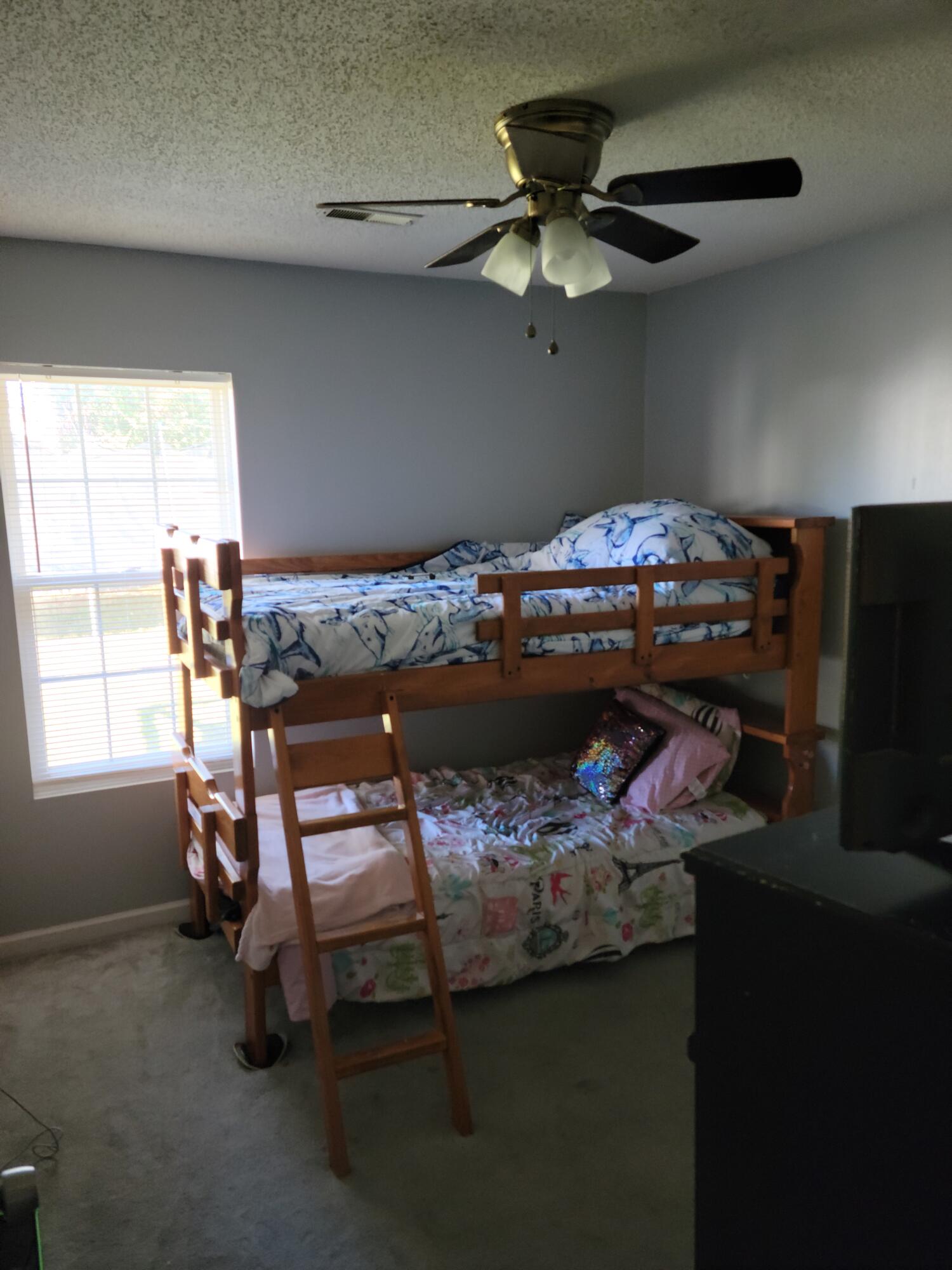 169 Two Hitch Road Goose Creek, SC 29445 - Photo 12 of 14 Bedroom 3