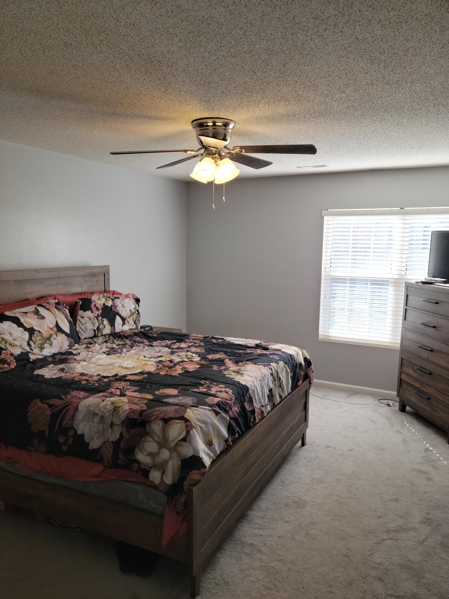 169 Two Hitch Road Goose Creek, SC 29445 - Photo 10 of 14 Master Bedroom
