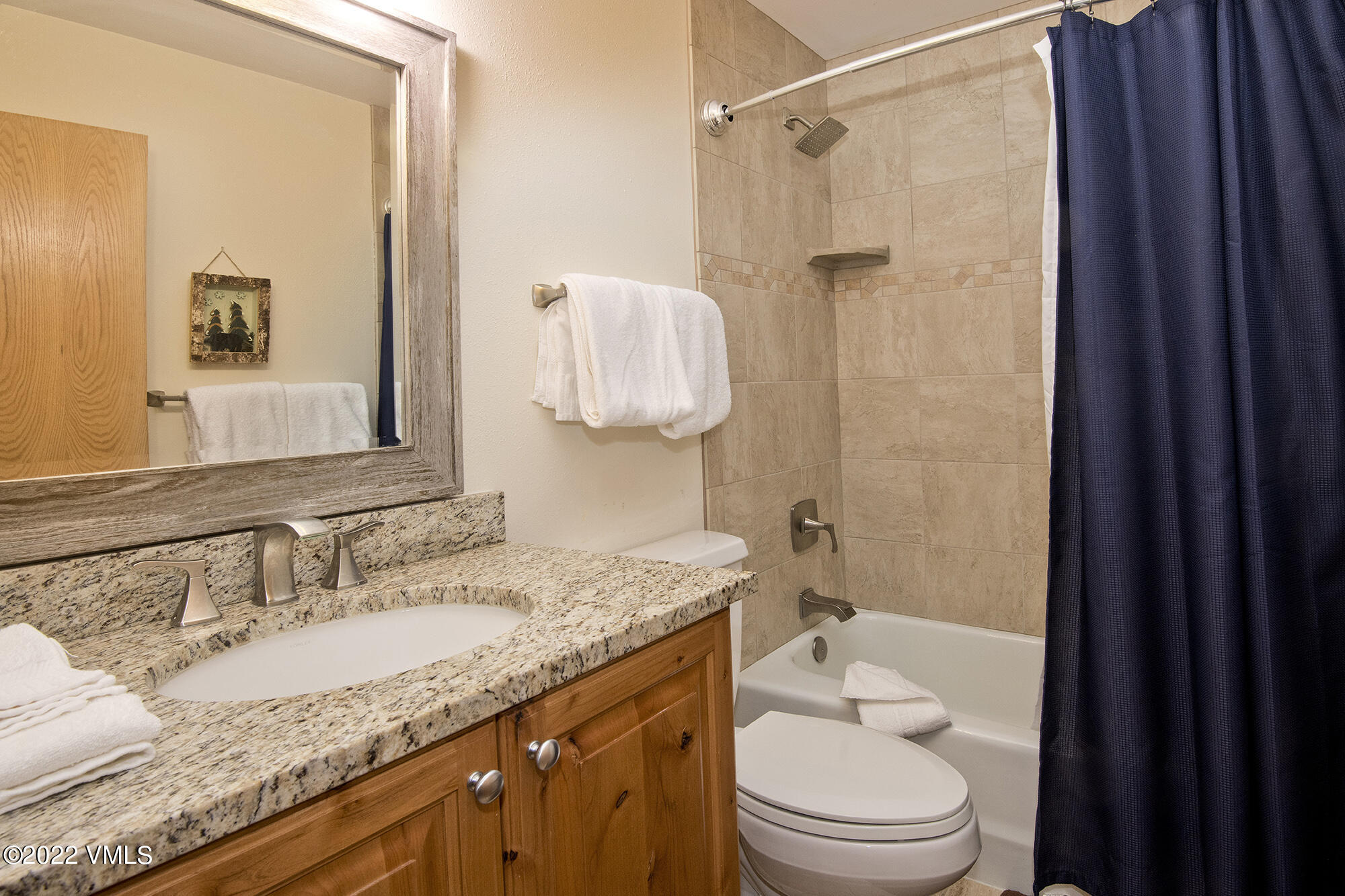 1030 Lions Ridge Loop, Unit 201 Vail, CO 81657 - Photo 22 of 29 a bathroom with a granite countertop sink toilet and shower