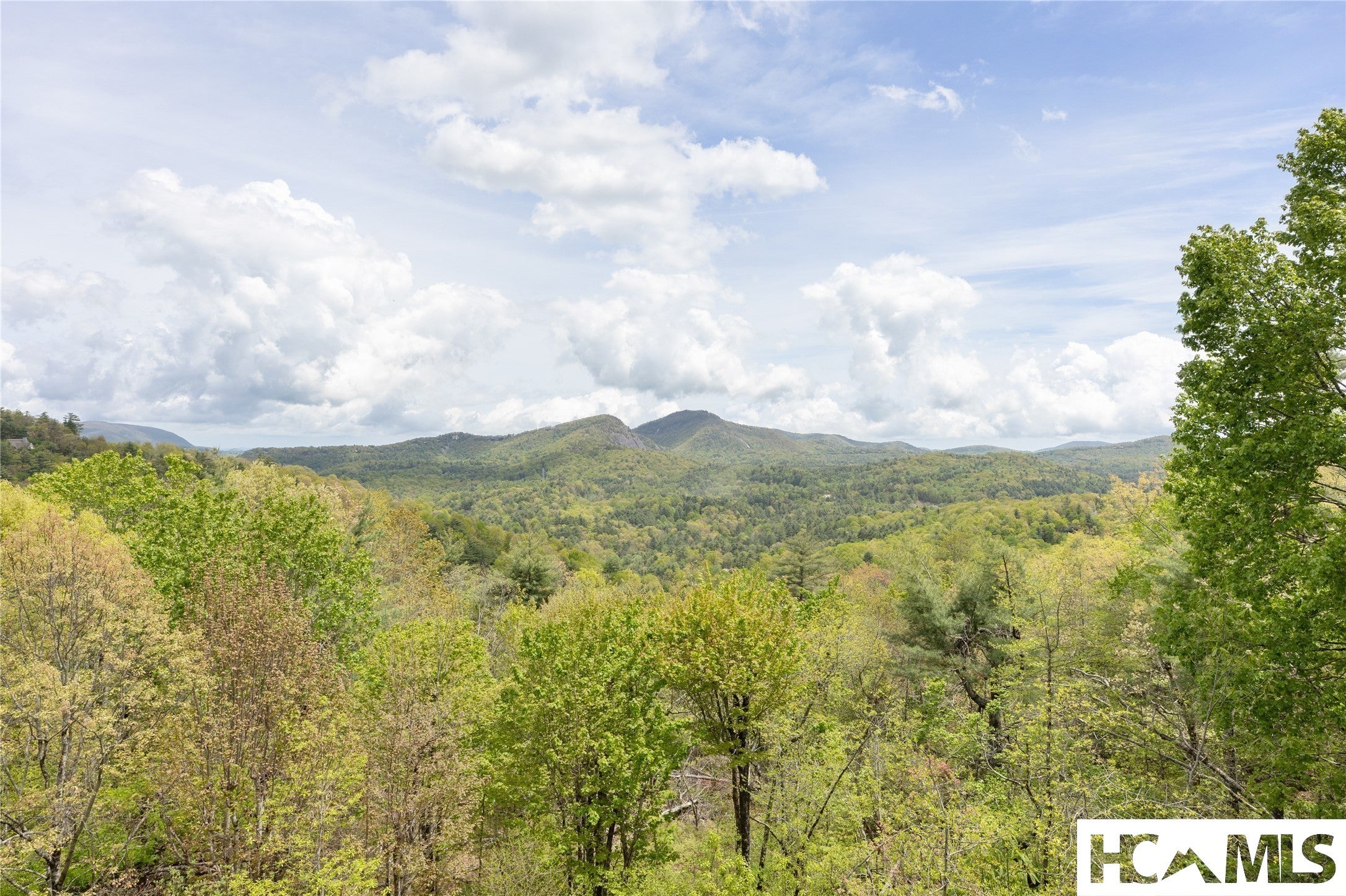 521 Sheepcote Road Cashiers, NC 28717 - Photo 45 of 97 Gallery Image 45