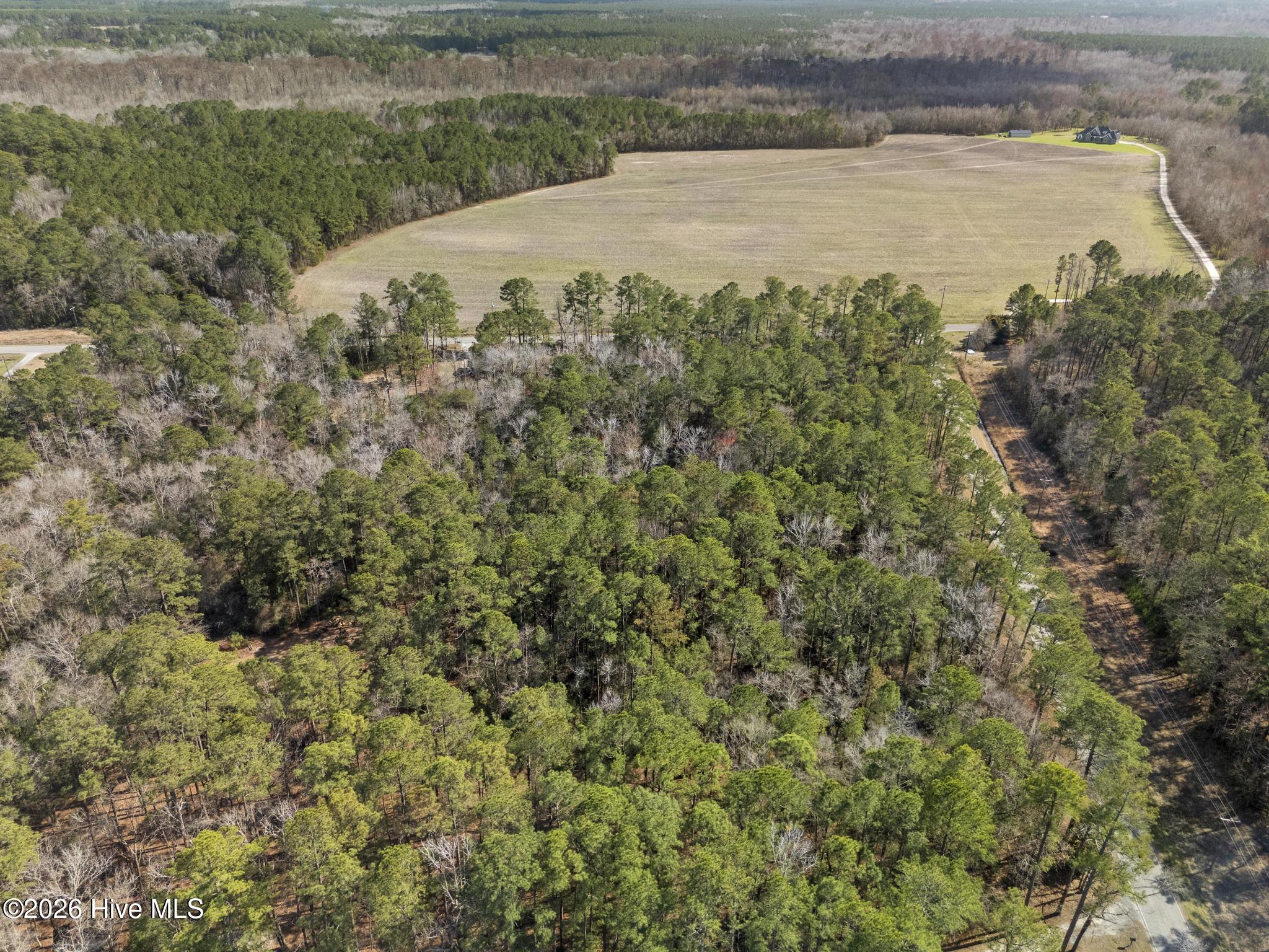 Lot 1 Page Road Burgaw, NC 28425 - Photo 8 of 18 DJI_20260306141936_0322_D