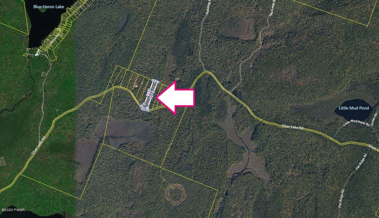 1113 Silver Lake Road Dingmans Ferry, PA 18328 - Photo 5 of 6 Aerial 2