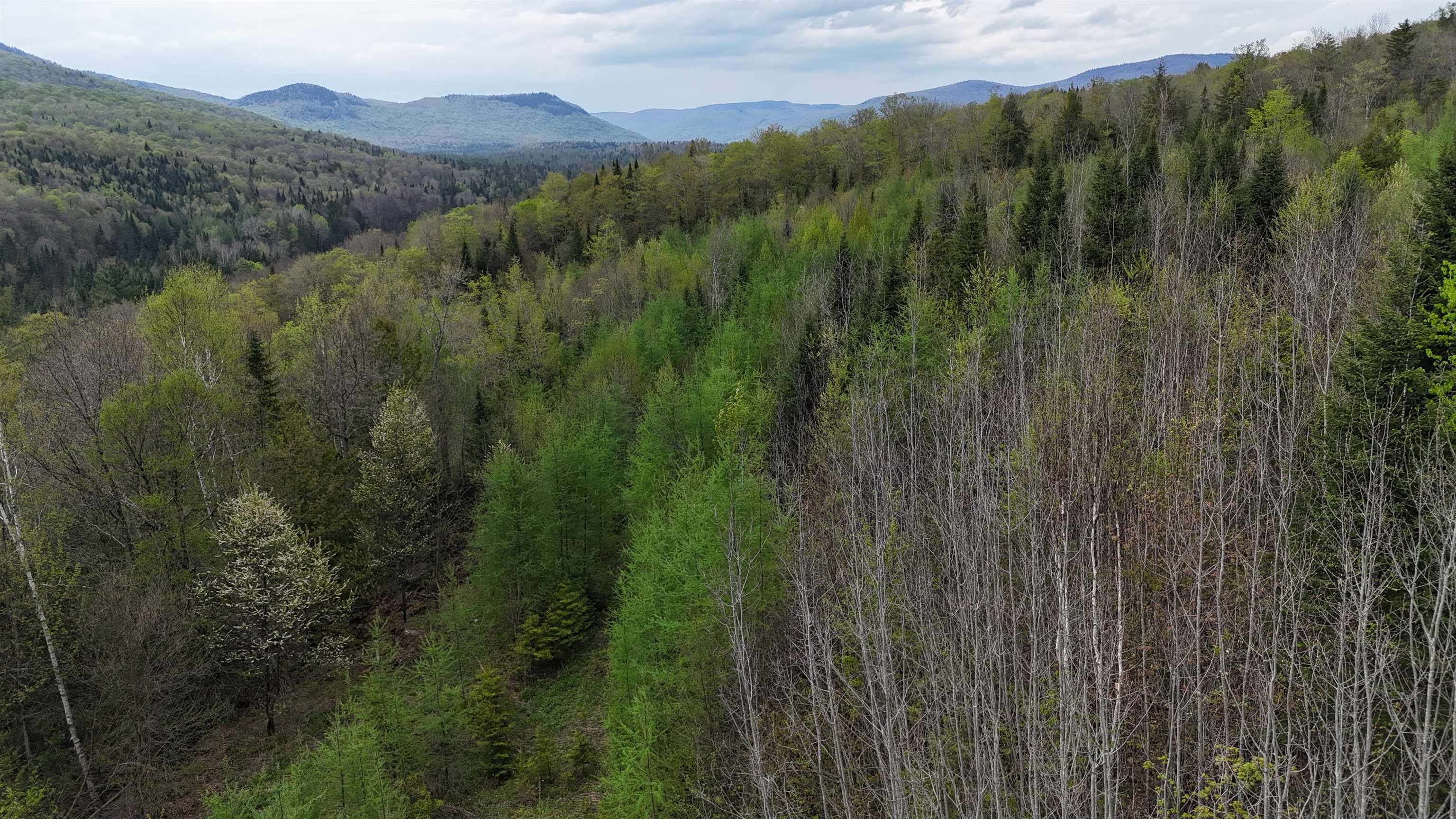 0 Lost Nation Road East Haven, VT 05837 - Photo 21 of 22