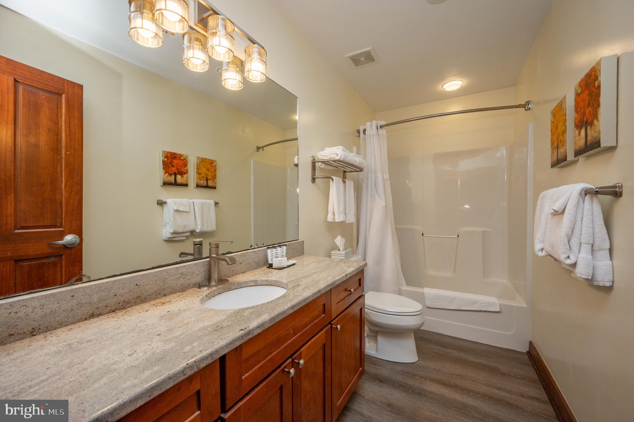 565 Glendale Road, Unit 103B Oakland, MD 21550 - Photo 3 of 53 a bathroom with a granite countertop sink a toilet a shower and a mirror