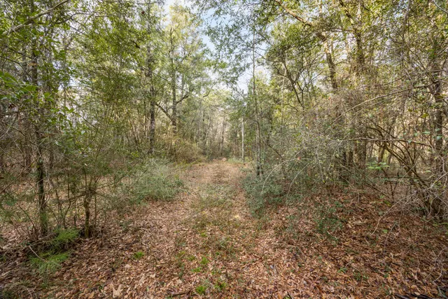 $39,995 | 6220 River Loop Drive, Crestview, FL 32536