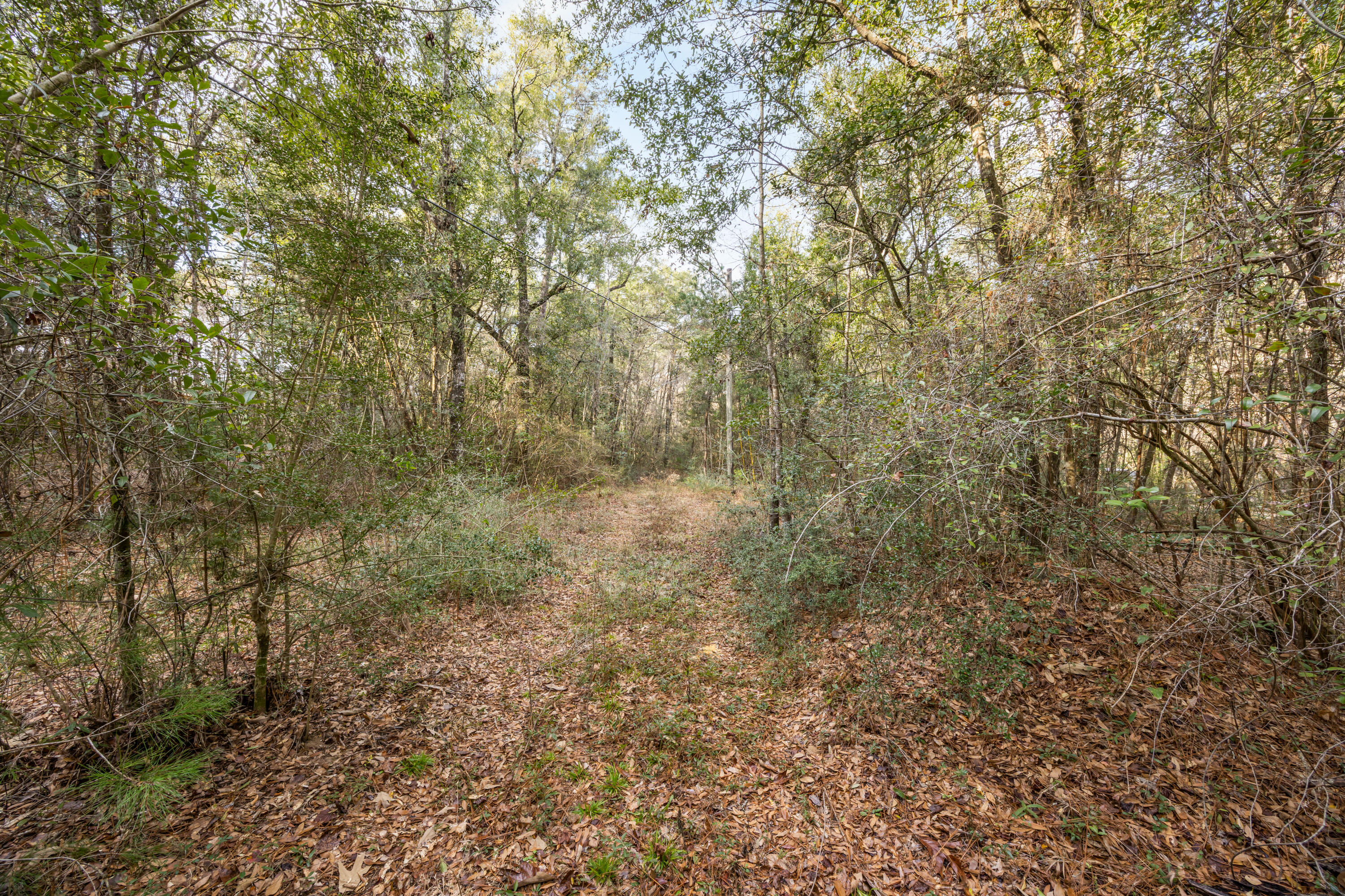 6220 River Loop Drive Crestview, FL 32536 - Photo 4 of 14 602A5132