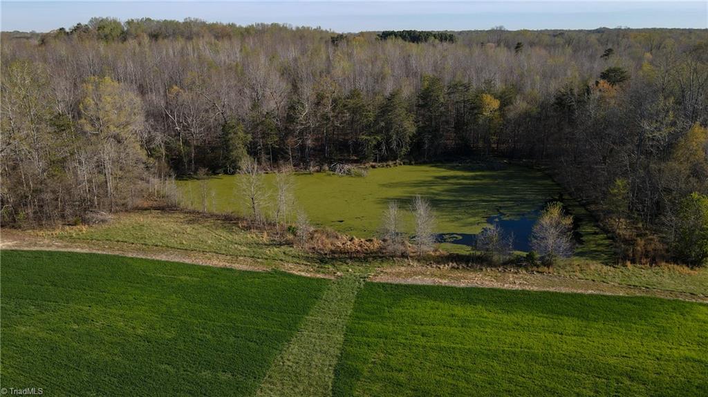1337 Candy Creek Road Reidsville, NC 27320 - Photo 20 of 22 Gallery Image 20