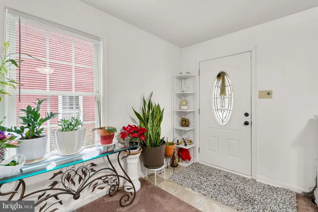a potted plant sitting on top of a wooden floor