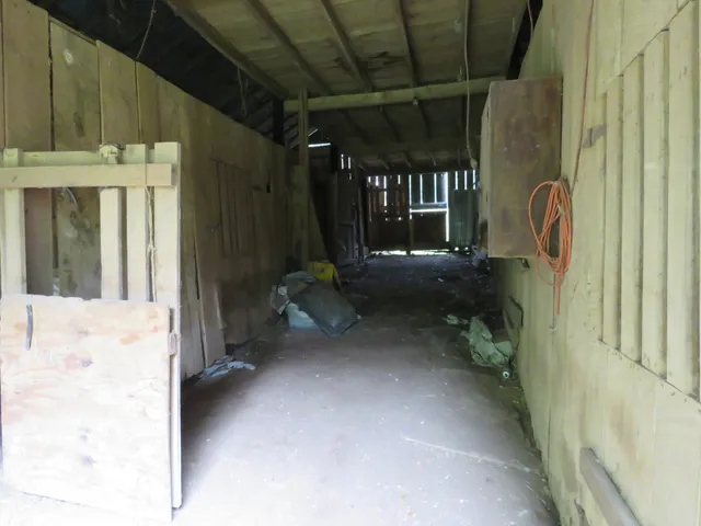 a house view with a backyard space