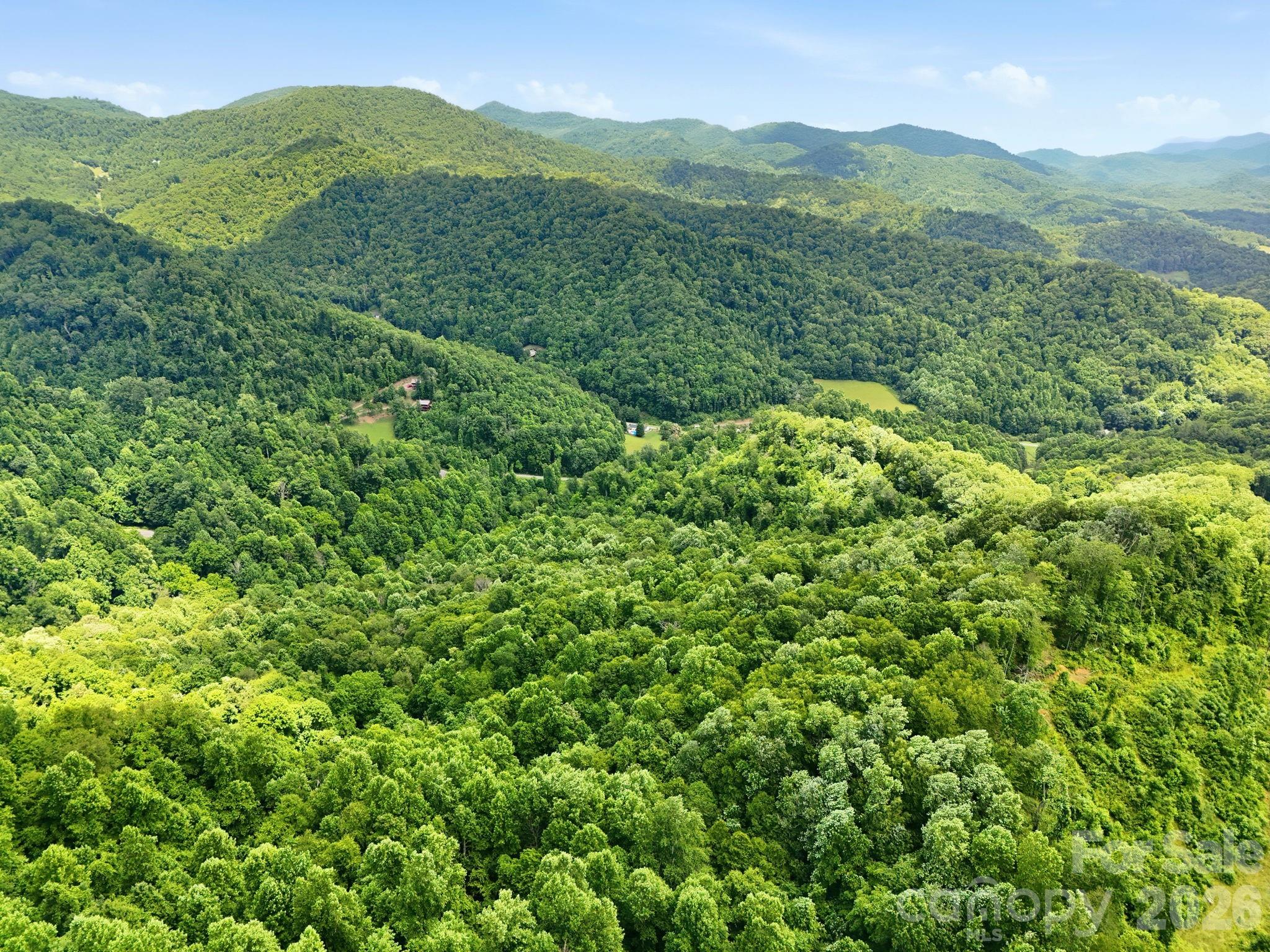 Tbd Windy Gap Road, Unit TRACT B Mars Hill, NC 28754 - Photo 12 of 13