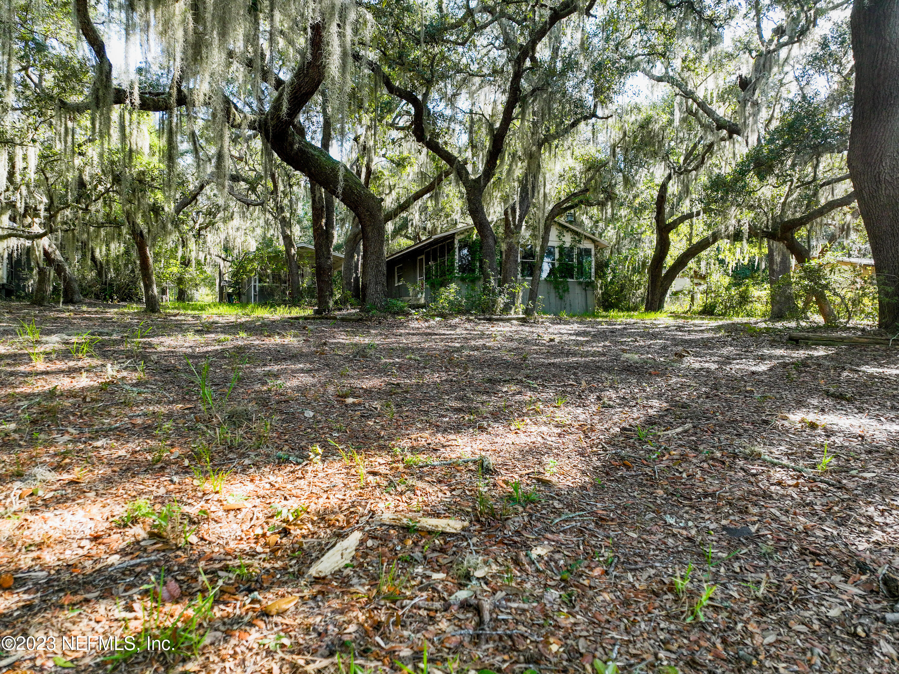5665 White Sands Road Keystone Heights, FL 32656 - Photo 33 of 96 Back Yard