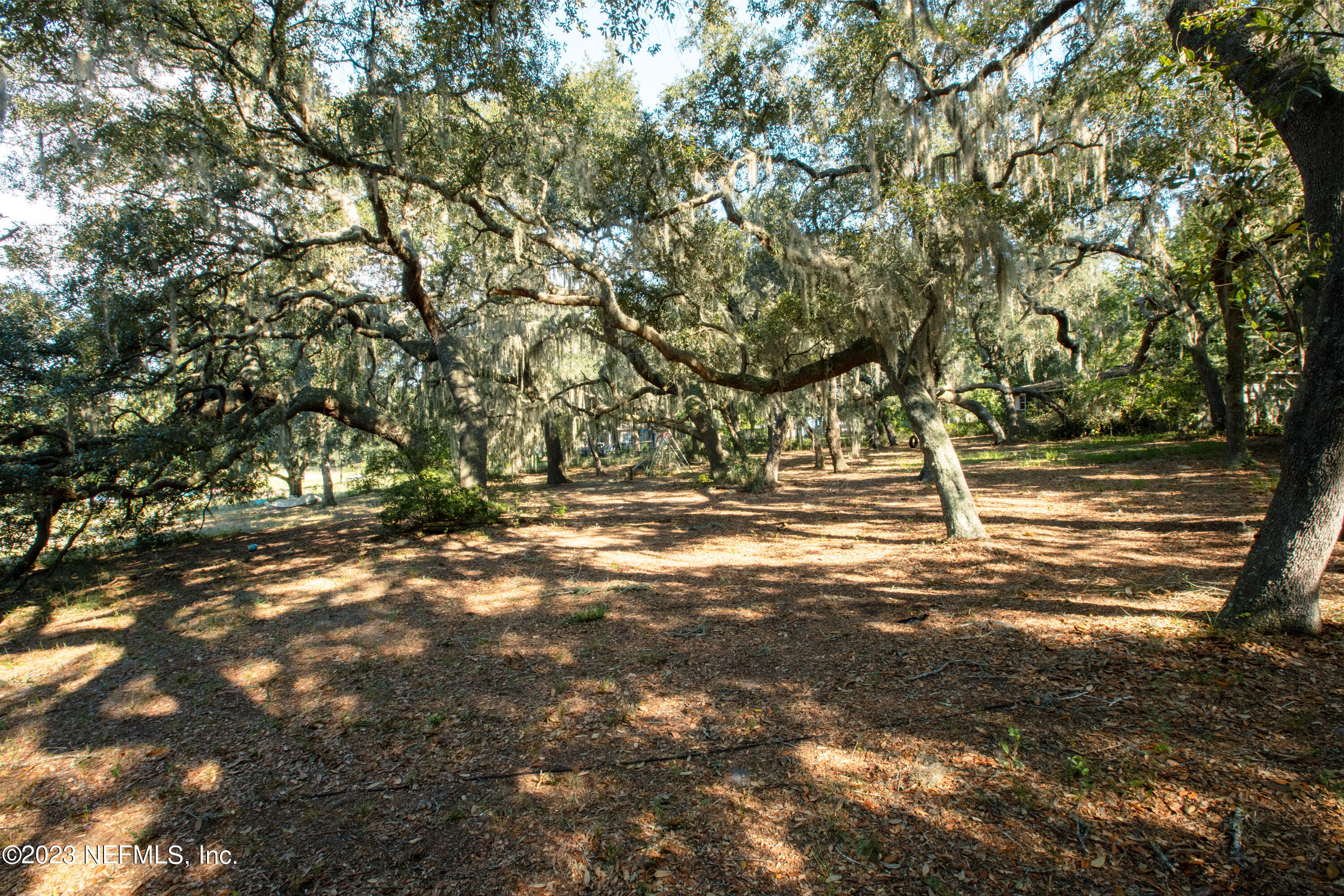 5665 White Sands Road Keystone Heights, FL 32656 - Photo 69 of 96 Back Yard Lakeside