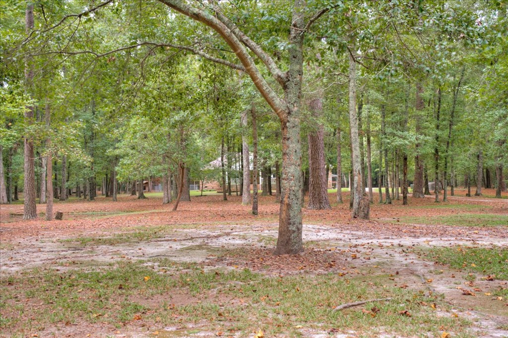 148 Twin Creek Farm Road Aiken, SC 29805 - Photo 38 of 62