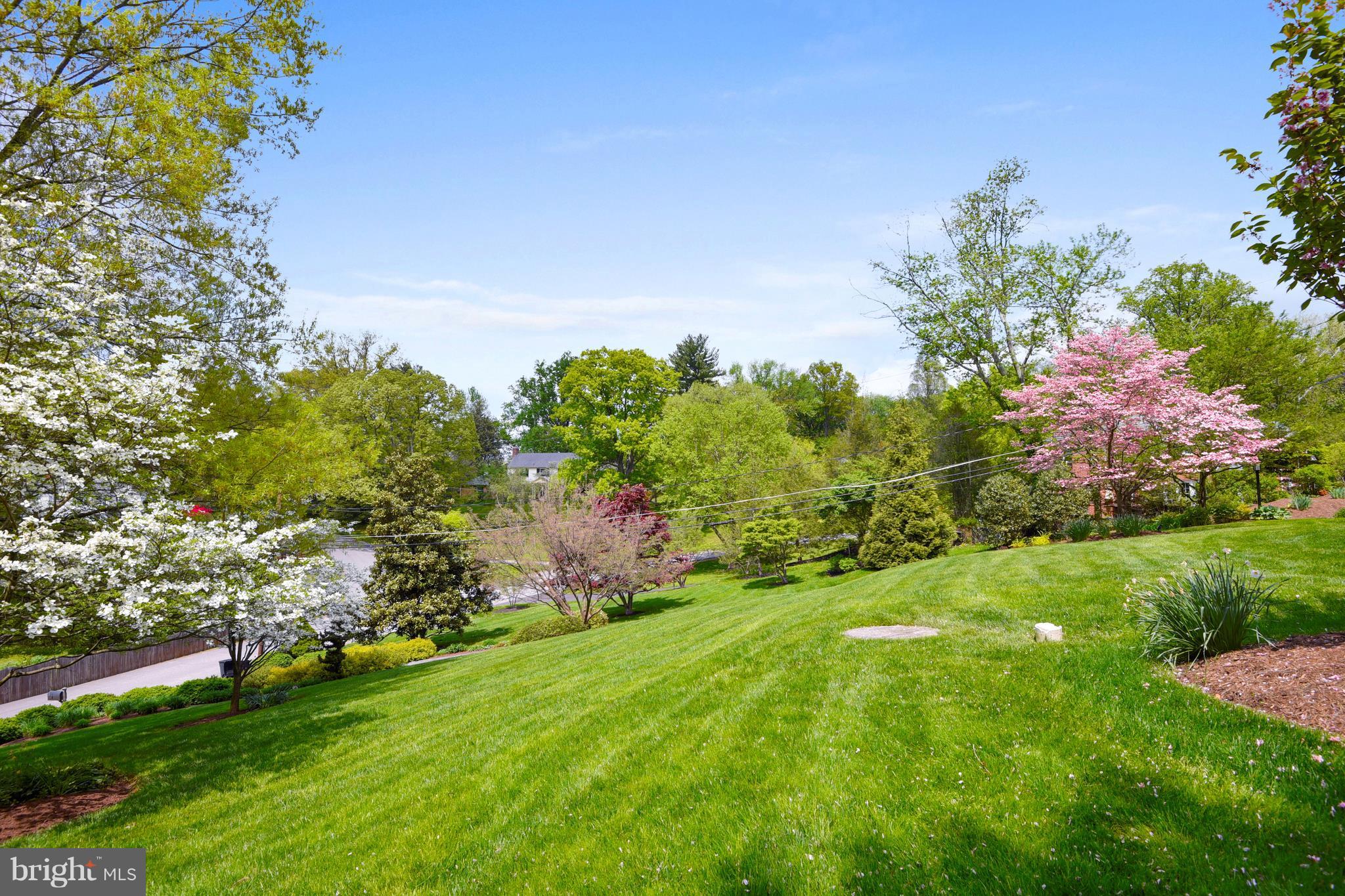 1101 Rolandvue Road Towson, MD 21204 - Photo 29 of 30 Lawn