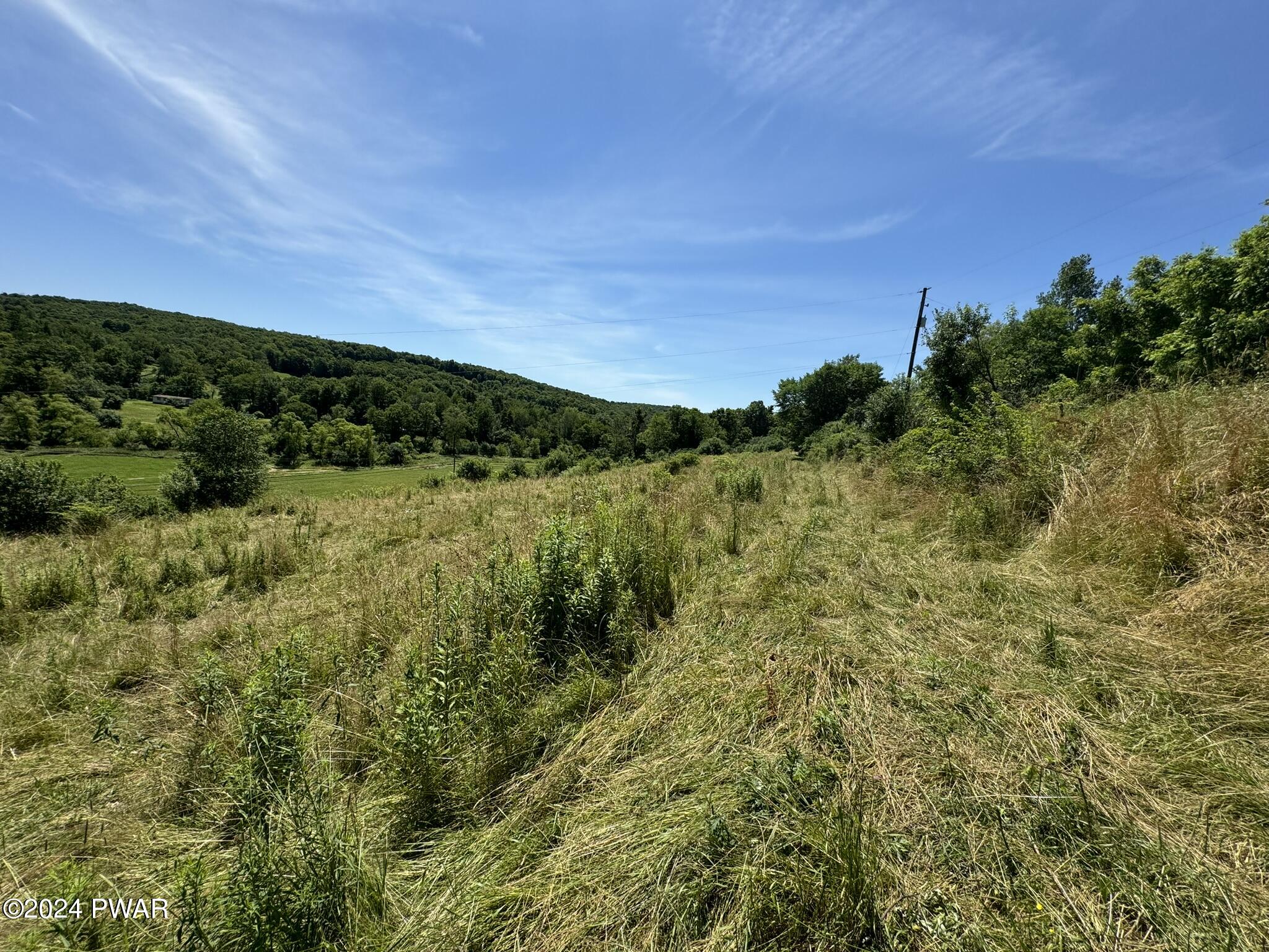 Brook Road Honesdale, PA 18431 - Photo 18 of 29 4 Acres Carley Brook Rd