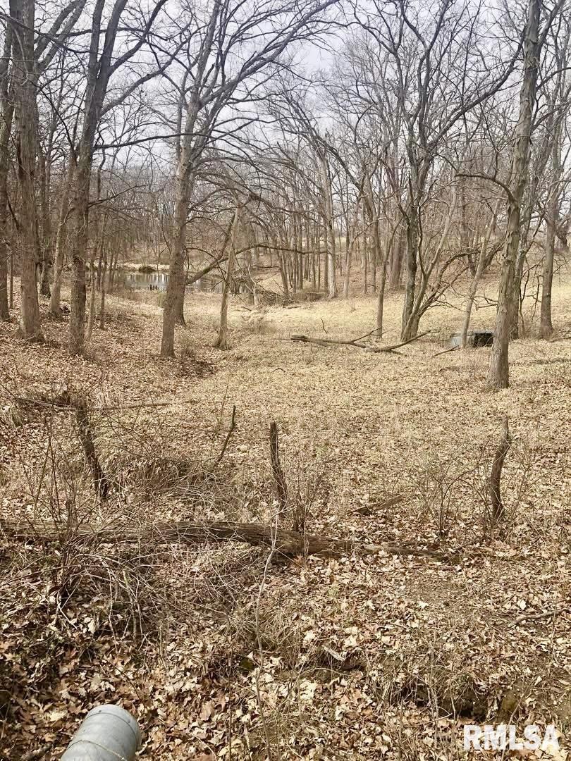 0 County Road East Mount Sterling, IL 62353 - Photo 4 of 10 Gallery Image 4
