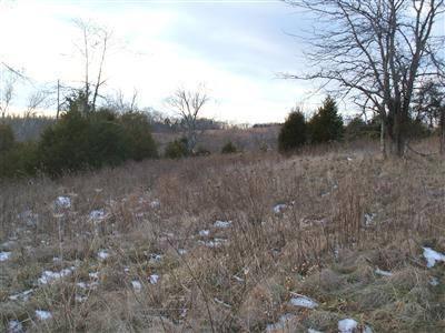 18 Crooked Creek Road Lexington, KY 40508 - Photo 11 of 42 Photo 11