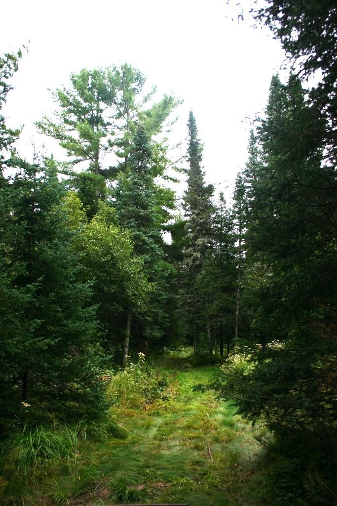 12279 Stangle Road Butternut, WI 54514 - Photo 16 of 30