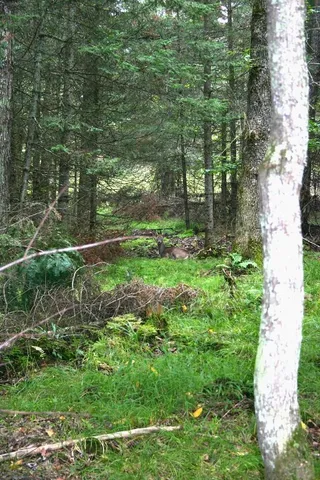 $599,000 | 12279 Stangle Road, Butternut, WI 54514