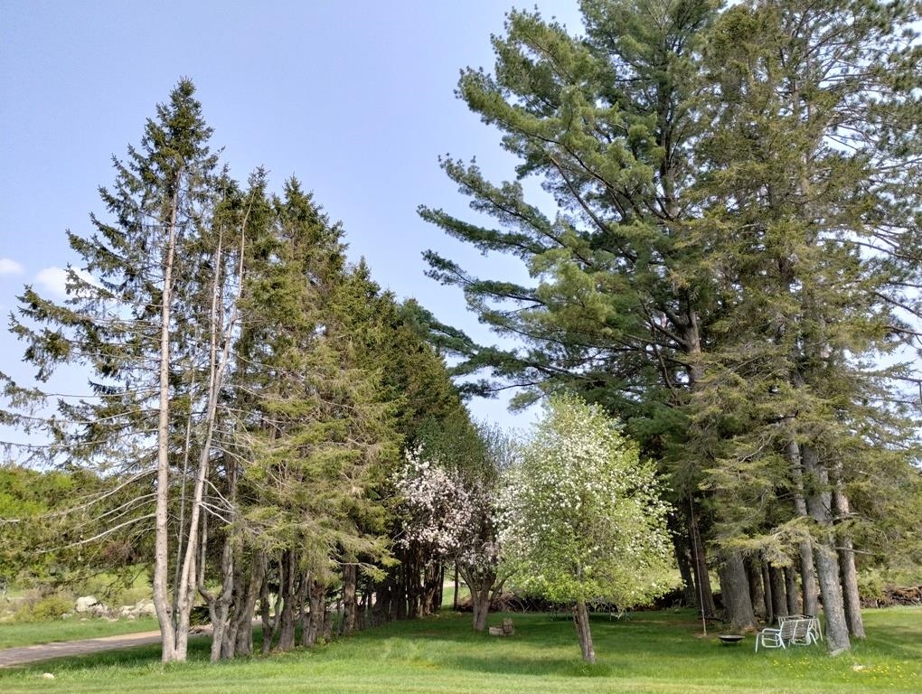 12279 Stangle Road Butternut, WI 54514 - Photo 24 of 30