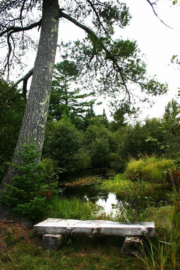 12279 Stangle Road Butternut, WI 54514 - Photo 4 of 30