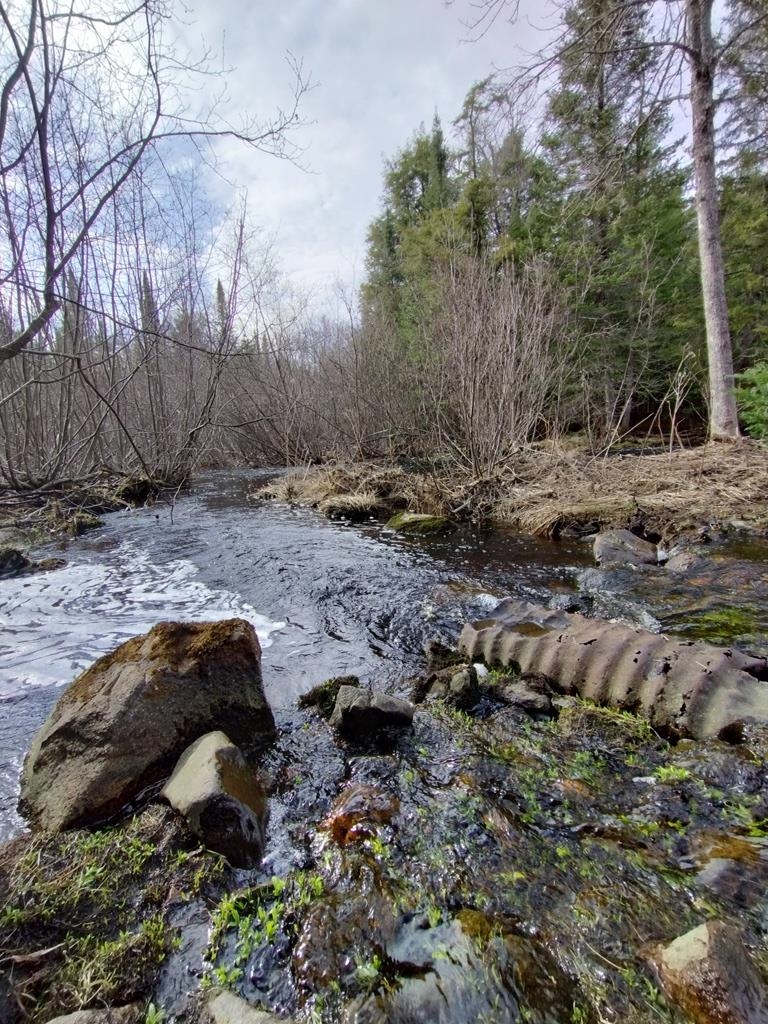 12279 Stangle Road Butternut, WI 54514 - Photo 7 of 30