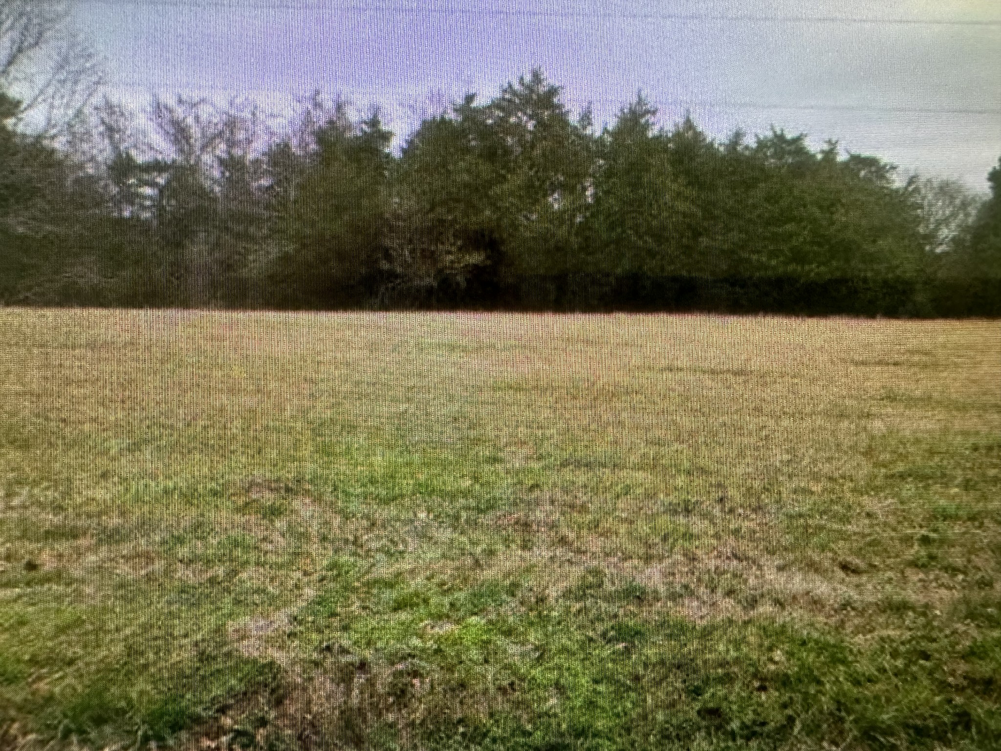 0 Round Hill Road Lewisburg, TN 37091 - Photo 1 of 1 Gallery Image 1