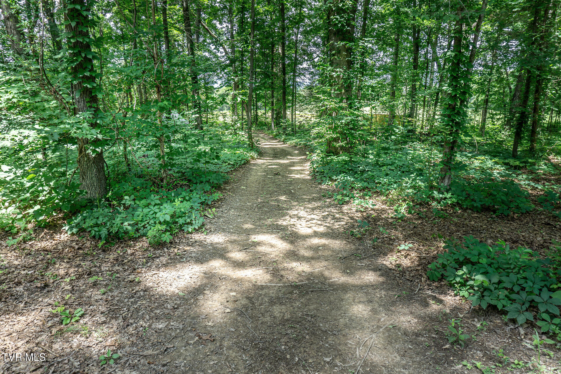 835 Pike Road Greeneville, TN 37745 - Photo 56 of 63 835PikeRdB_053