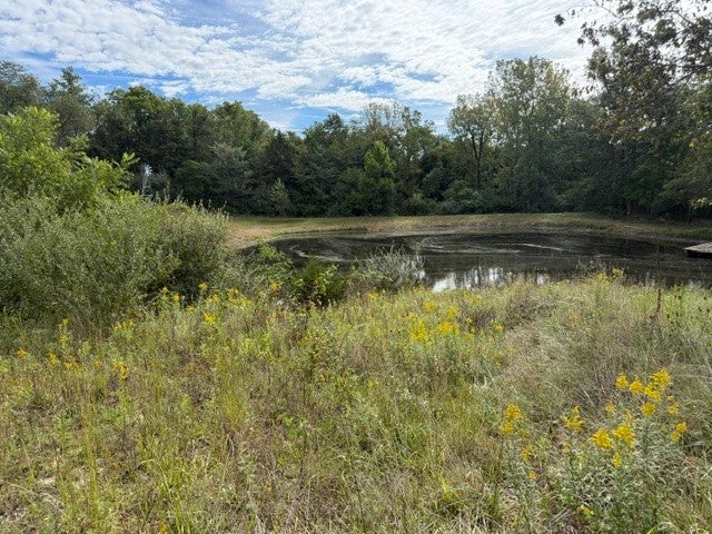 19101 Harrison Street Road Charleston, IL 61920 - Photo 69 of 69 Gallery Image 69